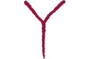 Epsylon Editrice